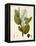 Verdant Foliage I-Vision Studio-Framed Stretched Canvas