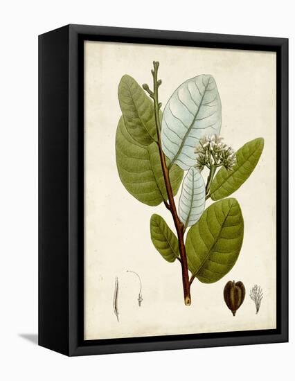 Verdant Foliage I-Vision Studio-Framed Stretched Canvas