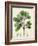 Verdant Foliage III-Vision Studio-Framed Art Print