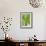 Verdant Foliage - Leaf-Joseph Eta-Framed Giclee Print displayed on a wall