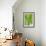 Verdant Foliage - Leaf-Joseph Eta-Framed Giclee Print displayed on a wall