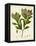 Verdant Foliage V-Vision Studio-Framed Stretched Canvas