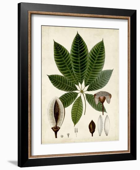 Verdant Foliage VII-Vision Studio-Framed Art Print