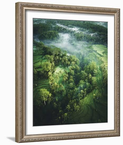 Verdant Forest-Joseph Eta-Framed Giclee Print