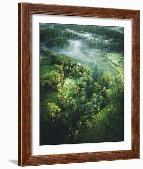 Verdant Forest-Joseph Eta-Framed Giclee Print