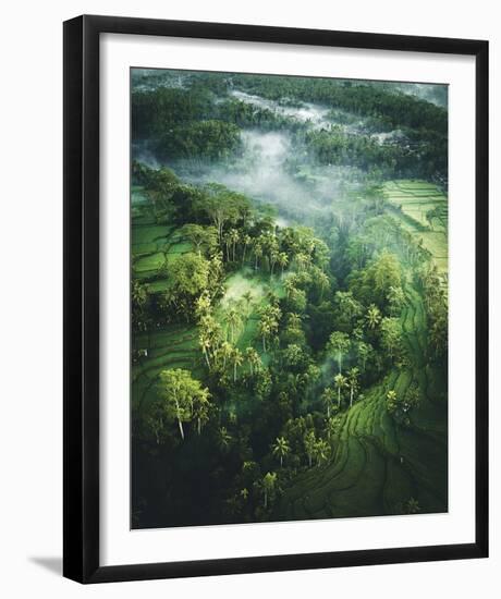 Verdant Forest-Joseph Eta-Framed Giclee Print