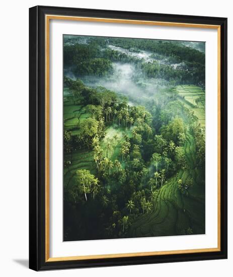 Verdant Forest-Joseph Eta-Framed Giclee Print