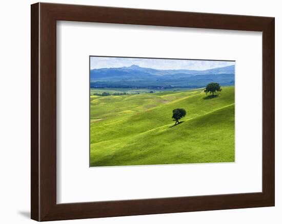 Verdant Knolls of the Tuscan Countryside-George Oze-Framed Photographic Print