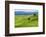Verdant Knolls of the Tuscan Countryside-George Oze-Framed Photographic Print