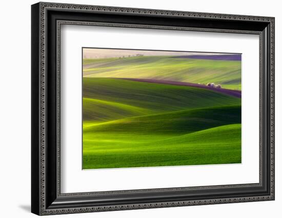 Verdant Land-Piotr Krol (Bax)-Framed Photographic Print