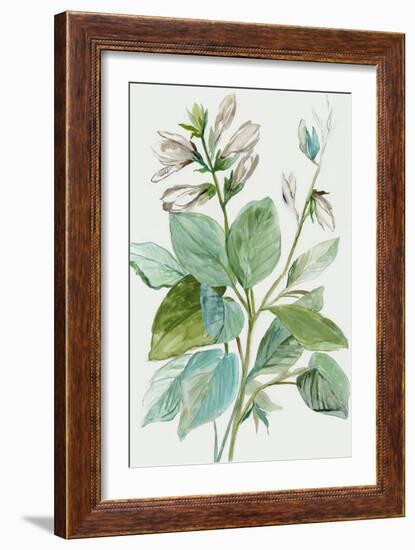 Verdant Leaves  II-Asia Jensen-Framed Art Print