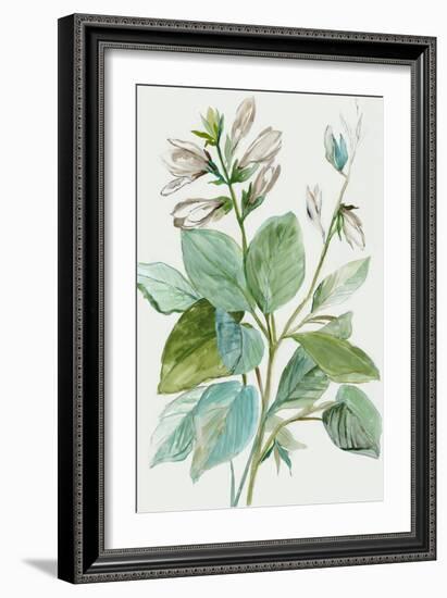 Verdant Leaves  II-Asia Jensen-Framed Art Print
