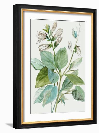 Verdant Leaves  II-Asia Jensen-Framed Art Print