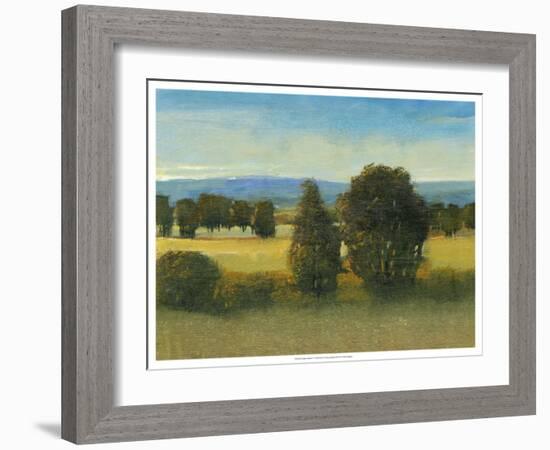 Verdant Meadow I-Tim O'toole-Framed Art Print