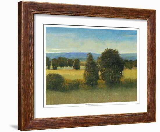 Verdant Meadow I-Tim O'toole-Framed Art Print