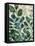 Verdant Sophistication IV-June Vess-Framed Stretched Canvas