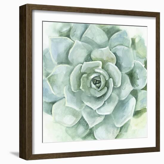 Verdant Succulent I-Victoria Borges-Framed Art Print