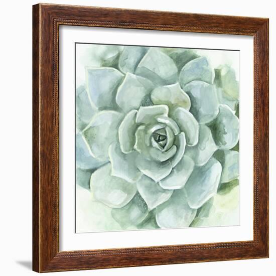 Verdant Succulent I-Victoria Borges-Framed Art Print