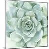 Verdant Succulent I-Victoria Borges-Mounted Art Print