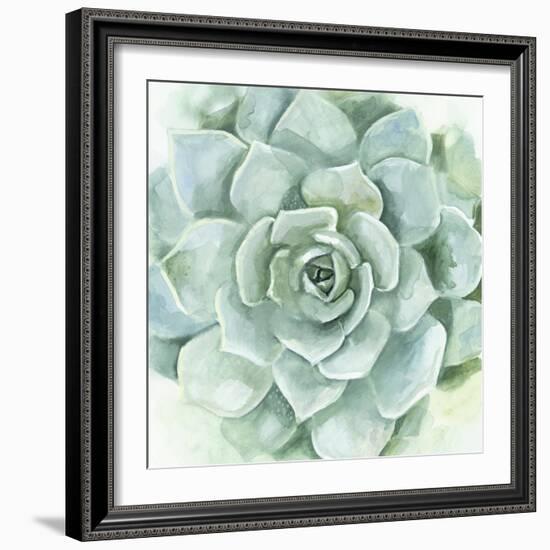 Verdant Succulent I-Victoria Borges-Framed Art Print