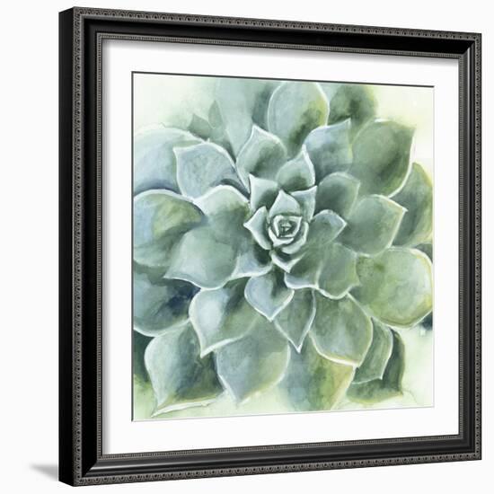 Verdant Succulent II-Victoria Borges-Framed Art Print