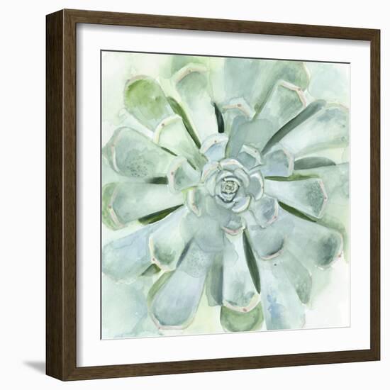 Verdant Succulent IV-Victoria Borges-Framed Art Print