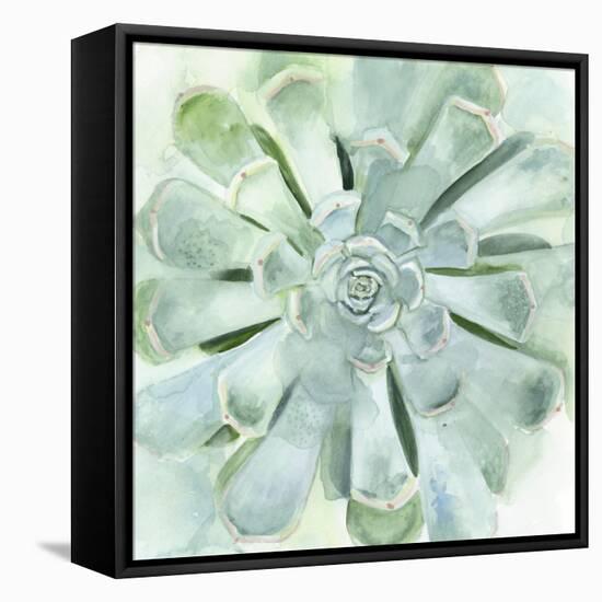 Verdant Succulent IV-Victoria Borges-Framed Stretched Canvas