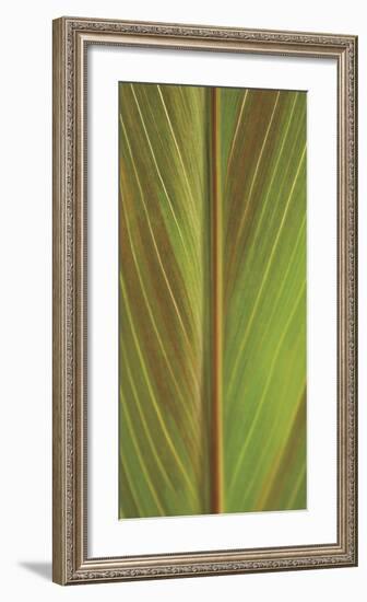 Verdant Trio I-Boyce Watt-Framed Giclee Print