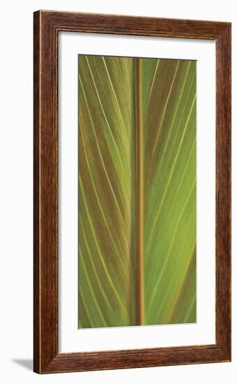 Verdant Trio I-Boyce Watt-Framed Giclee Print