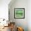 Verdant-Tim Nyberg-Framed Giclee Print displayed on a wall