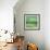 Verdant-Tim Nyberg-Framed Giclee Print displayed on a wall