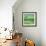 Verdant-Tim Nyberg-Framed Giclee Print displayed on a wall