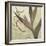 Verde Botanicals XI-Liz Jardine-Framed Art Print