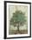 Verdi Trees I-Silvia Vassileva-Framed Premium Giclee Print