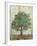 Verdi Trees I-Silvia Vassileva-Framed Premium Giclee Print