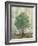 Verdi Trees II-Silvia Vassileva-Framed Premium Giclee Print