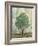 Verdi Trees II-Silvia Vassileva-Framed Art Print