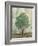 Verdi Trees II-Silvia Vassileva-Framed Art Print