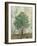 Verdi Trees II-Silvia Vassileva-Framed Art Print