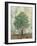 Verdi Trees II-Silvia Vassileva-Framed Art Print