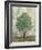 Verdi Trees II-Silvia Vassileva-Framed Art Print