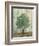 Verdi Trees II-Silvia Vassileva-Framed Art Print