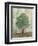 Verdi Trees II-Silvia Vassileva-Framed Art Print