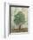 Verdi Trees II-Silvia Vassileva-Framed Art Print