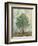 Verdi Trees II-Silvia Vassileva-Framed Art Print