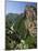 Verdon Gorges, Alpes-De-Haute-Provence, Provence, France-Michael Busselle-Mounted Photographic Print
