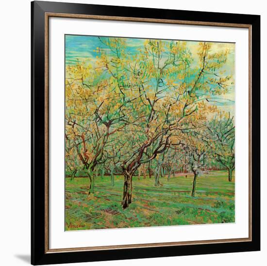 Verger avec pruniers en fleurs (Détail)-Vincent van Gogh-Framed Art Print