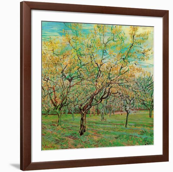 Verger avec pruniers en fleurs (Détail)-Vincent van Gogh-Framed Art Print