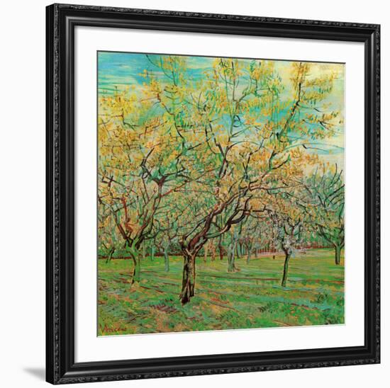 Verger avec pruniers en fleurs (Détail)-Vincent van Gogh-Framed Art Print