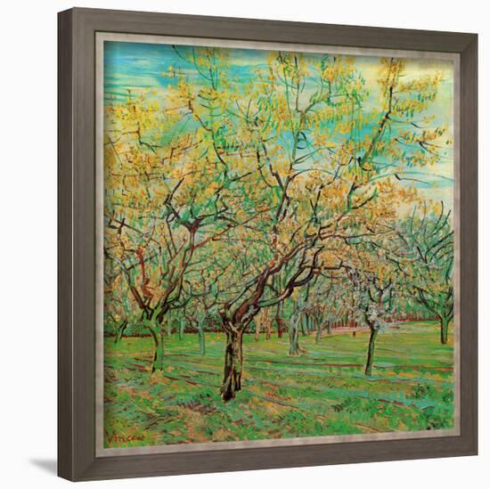 Verger Avec Pruniers En Fleurs-Vincent van Gogh-Framed Art Print